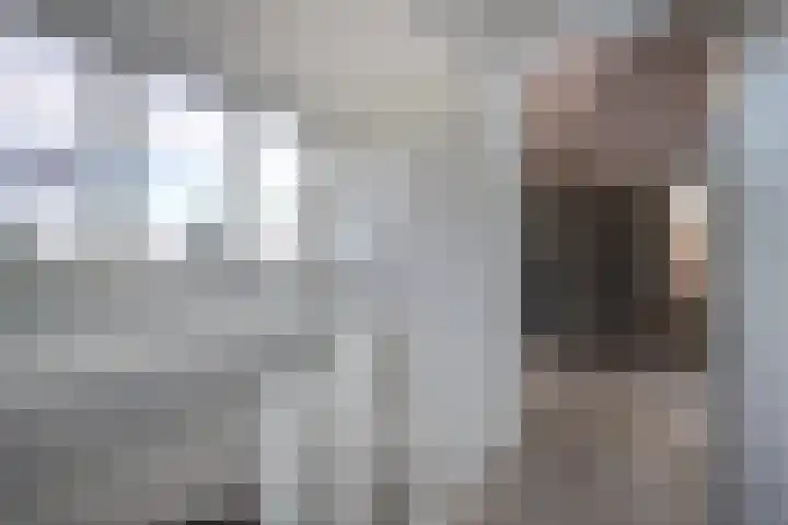 Spitter 38 Zundert thumbnail 35