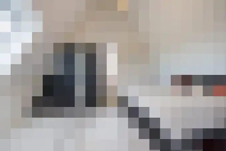 Spitter 38 Zundert thumbnail 36
