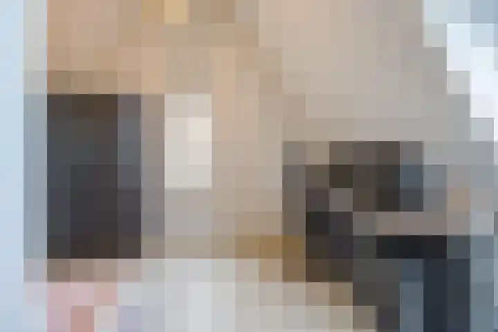 Spitter 38 Zundert thumbnail 39