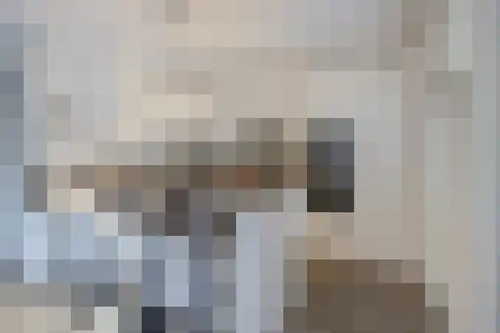 Spitter 38 Zundert thumbnail 4