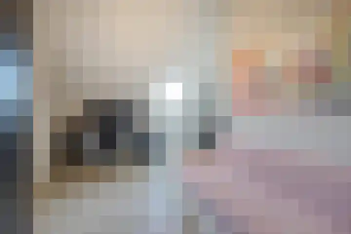 Spitter 38 Zundert thumbnail 41