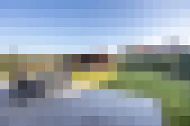 Spitter 38 Zundert thumbnail 44