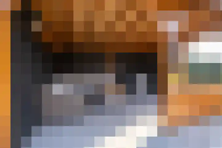 Spitter 38 Zundert thumbnail 46