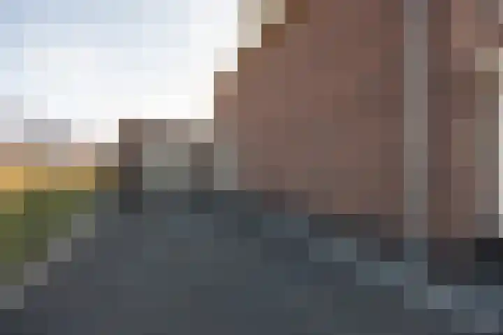 Spitter 38 Zundert thumbnail 55