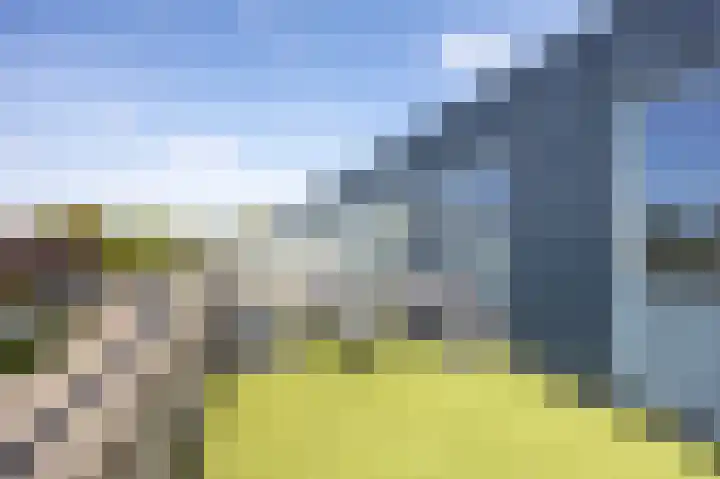 Spletting 17 Etten-Leur thumbnail 30