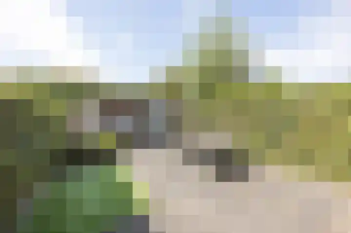 Spletting 17 Etten-Leur thumbnail 4