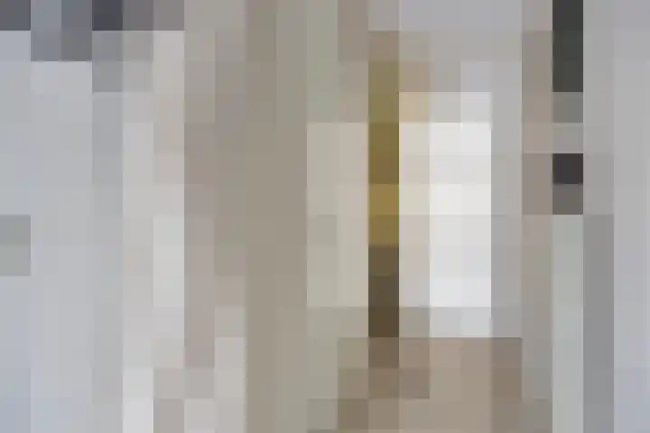 Spletting 21 Etten-Leur thumbnail 10