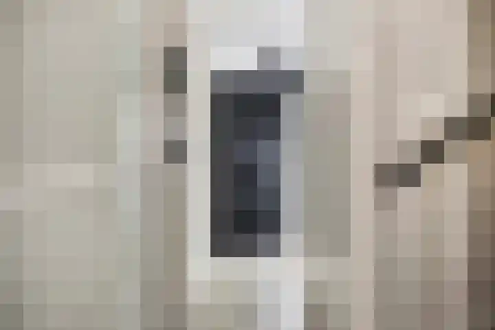 Spletting 21 Etten-Leur thumbnail 11