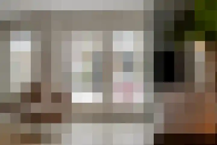 Spletting 21 Etten-Leur thumbnail 20