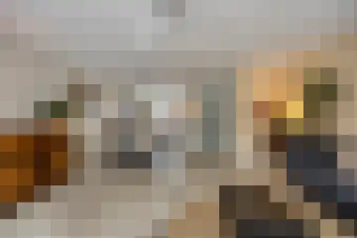 Spletting 21 Etten-Leur thumbnail 21