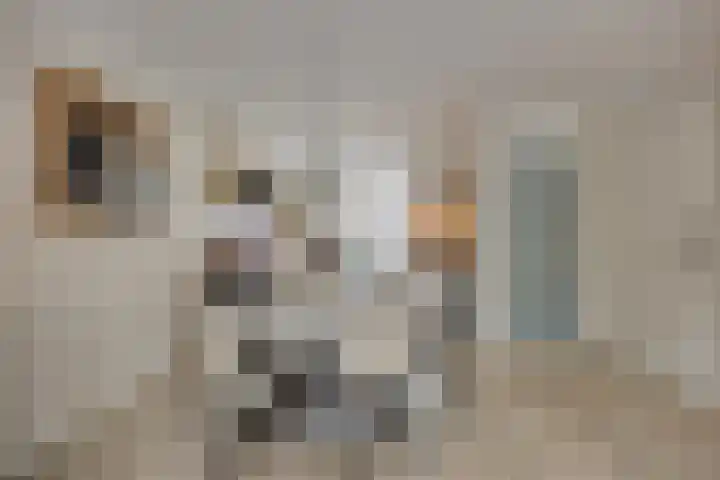 Spletting 21 Etten-Leur thumbnail 22