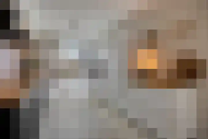 Spletting 21 Etten-Leur thumbnail 25