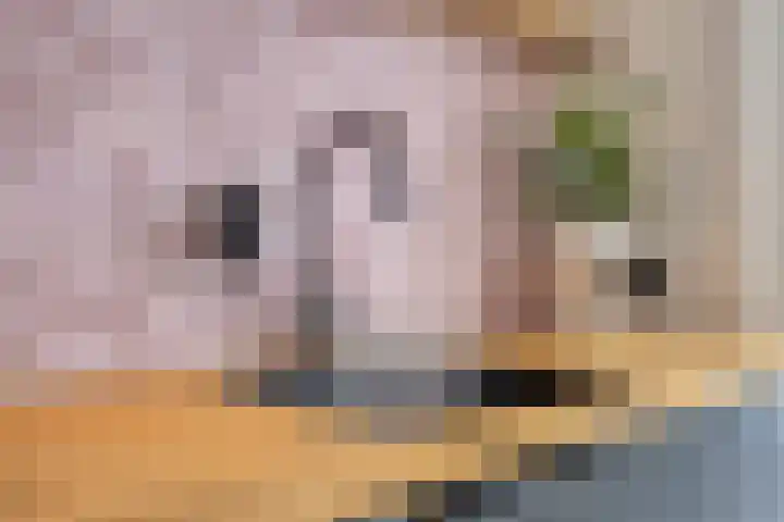 Spletting 21 Etten-Leur thumbnail 26