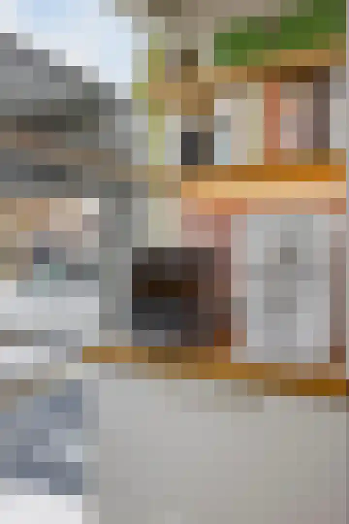 Spletting 21 Etten-Leur thumbnail 33