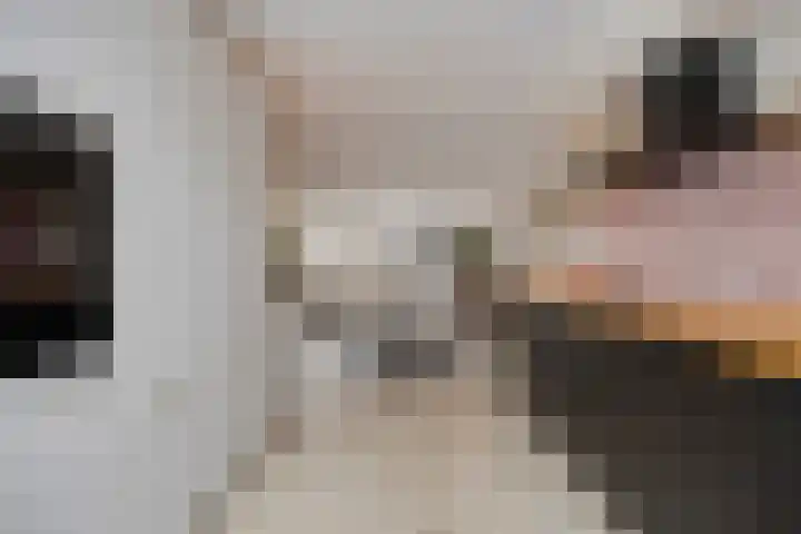 Spletting 21 Etten-Leur thumbnail 34