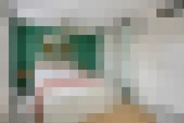 Spletting 21 Etten-Leur thumbnail 4