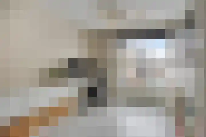 Spletting 21 Etten-Leur thumbnail 43