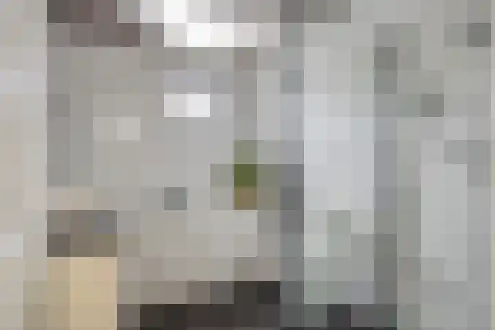 Spletting 21 Etten-Leur thumbnail 5