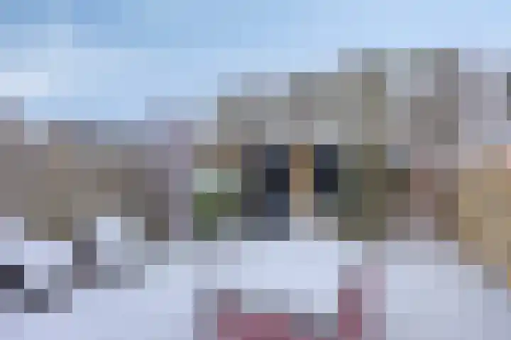 Spletting 21 Etten-Leur thumbnail 55
