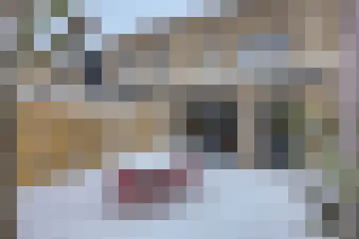 Spletting 21 Etten-Leur thumbnail 57