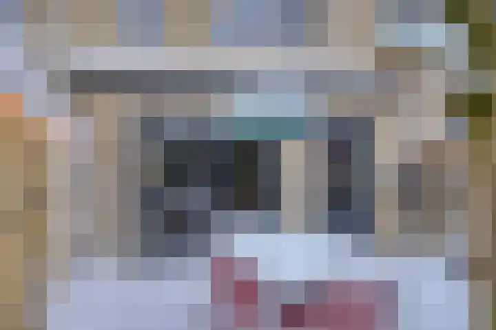 Spletting 21 Etten-Leur thumbnail 58