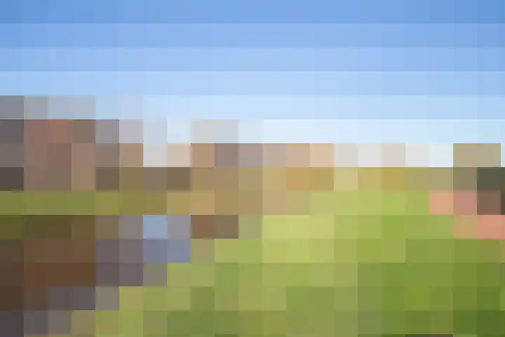 Spletting 21 Etten-Leur thumbnail 65