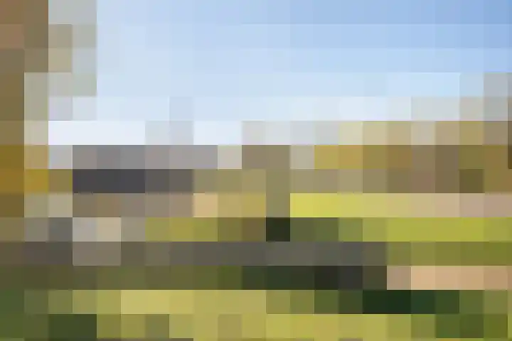 Spletting 21 Etten-Leur thumbnail 66