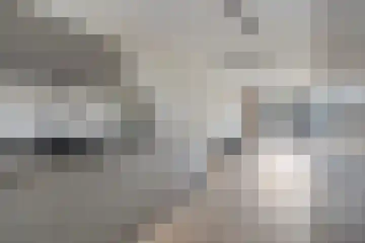 Spletting 25 Etten-Leur thumbnail 15