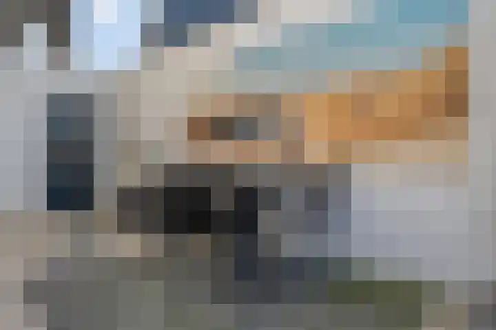 Spletting 25 Etten-Leur thumbnail 24