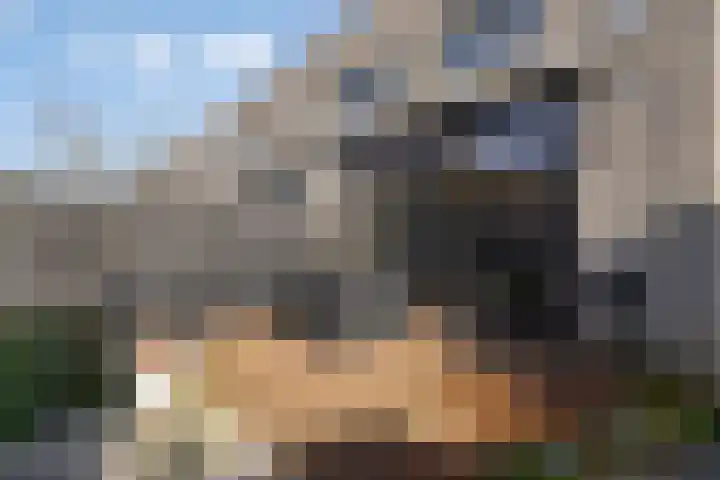 Spletting 25 Etten-Leur thumbnail 26