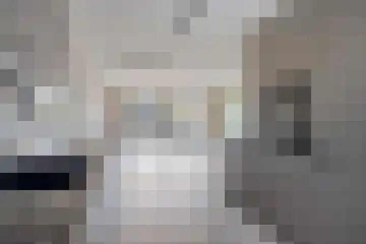 Spletting 25 Etten-Leur foto 3