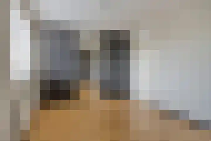 Spletting 25 Etten-Leur thumbnail 34