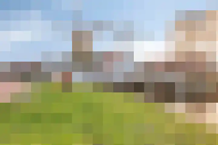 Spletting 25 Etten-Leur thumbnail 53