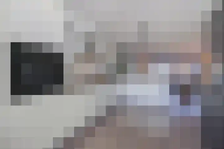 Spletting 39 Etten-Leur thumbnail 16