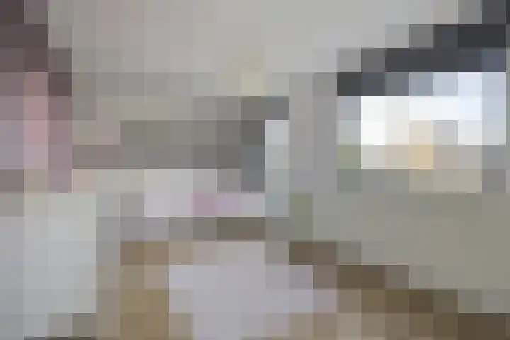 Spletting 39 Etten-Leur thumbnail 20