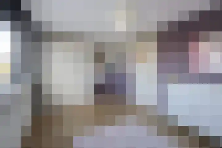 Spletting 39 Etten-Leur thumbnail 21