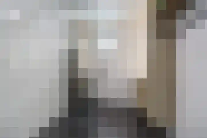 Spletting 39 Etten-Leur thumbnail 25