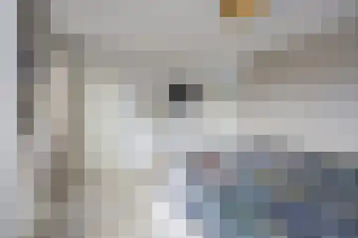 Spletting 39 Etten-Leur thumbnail 29