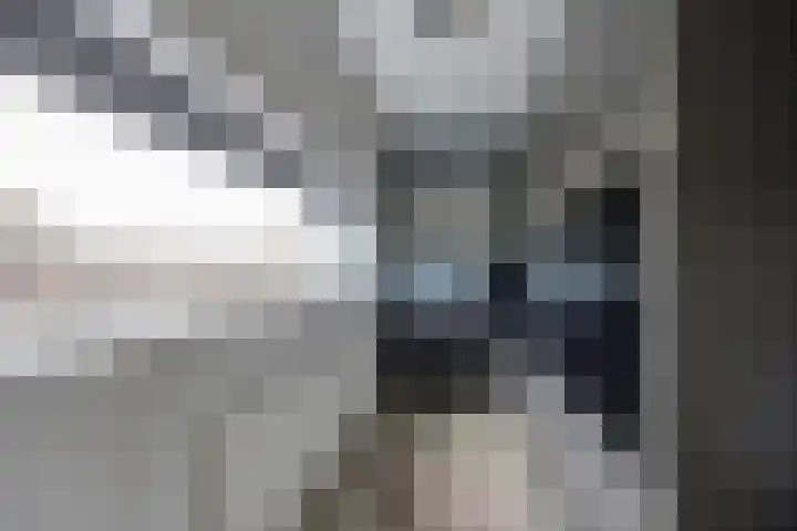 Spletting 39 Etten-Leur thumbnail 31