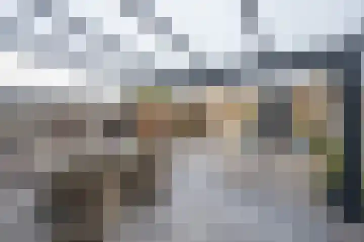 Spletting 39 Etten-Leur thumbnail 36