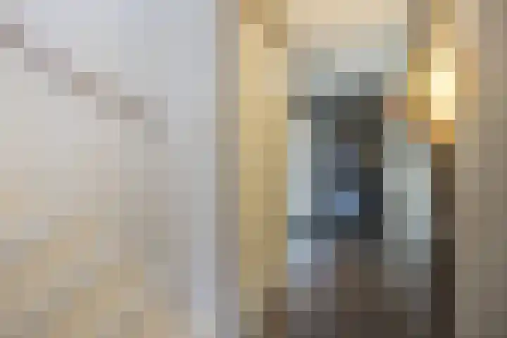 Spletting 39 Etten-Leur thumbnail 7