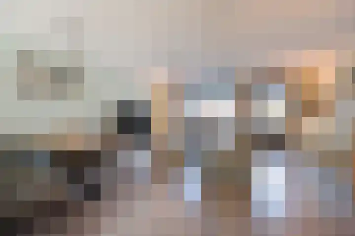 Spletting 39 Etten-Leur thumbnail 8