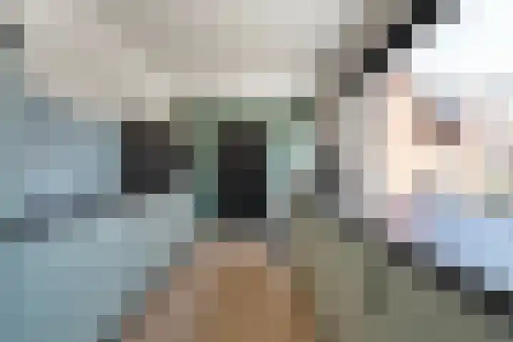 Splijtloffkamp 5 Zwolle thumbnail 10