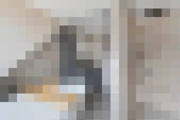 Splijtloffkamp 5 Zwolle thumbnail 25