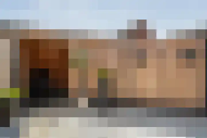 Splijtloffkamp 5 Zwolle thumbnail 31