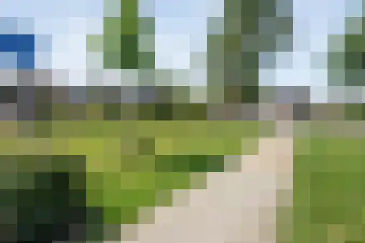 Splijtloffkamp 5 Zwolle thumbnail 32