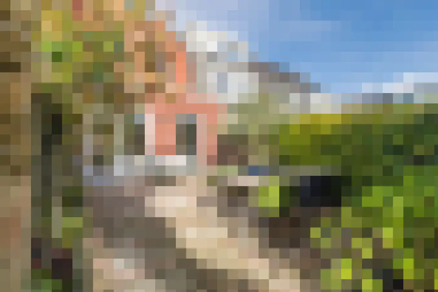 Splinterenburg 10 Vleuten thumbnail 17