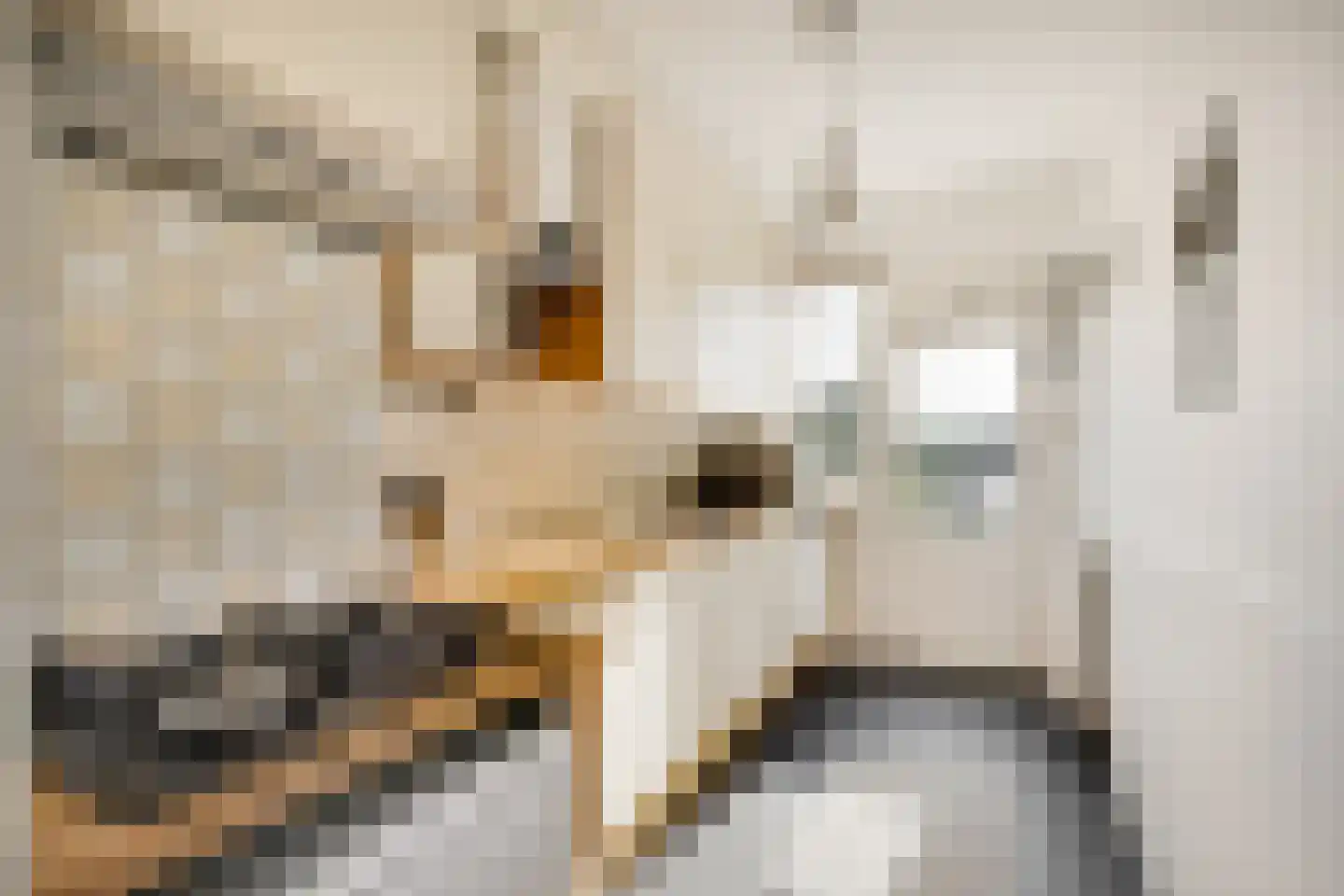 Splinterlaan 12 Leiderdorp thumbnail 10