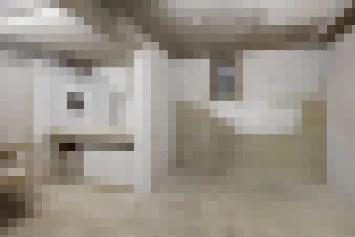 Splinterlaan 12 Leiderdorp thumbnail 16