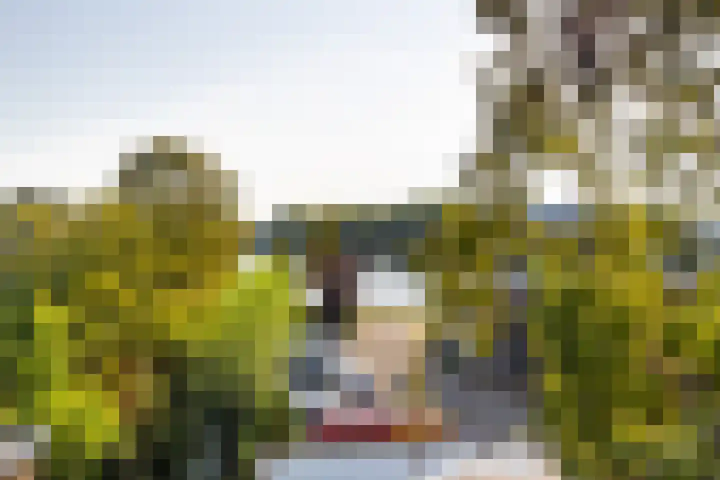 Splinterlaan 12 Leiderdorp thumbnail 21